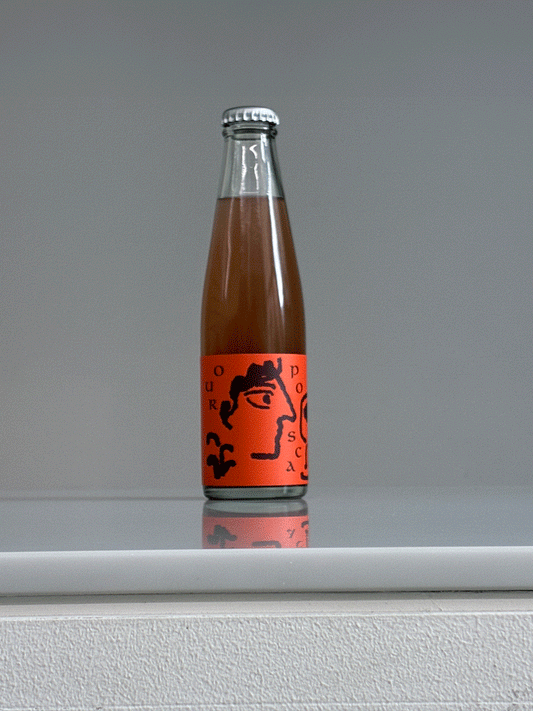 OUR POSCA(6本セット)