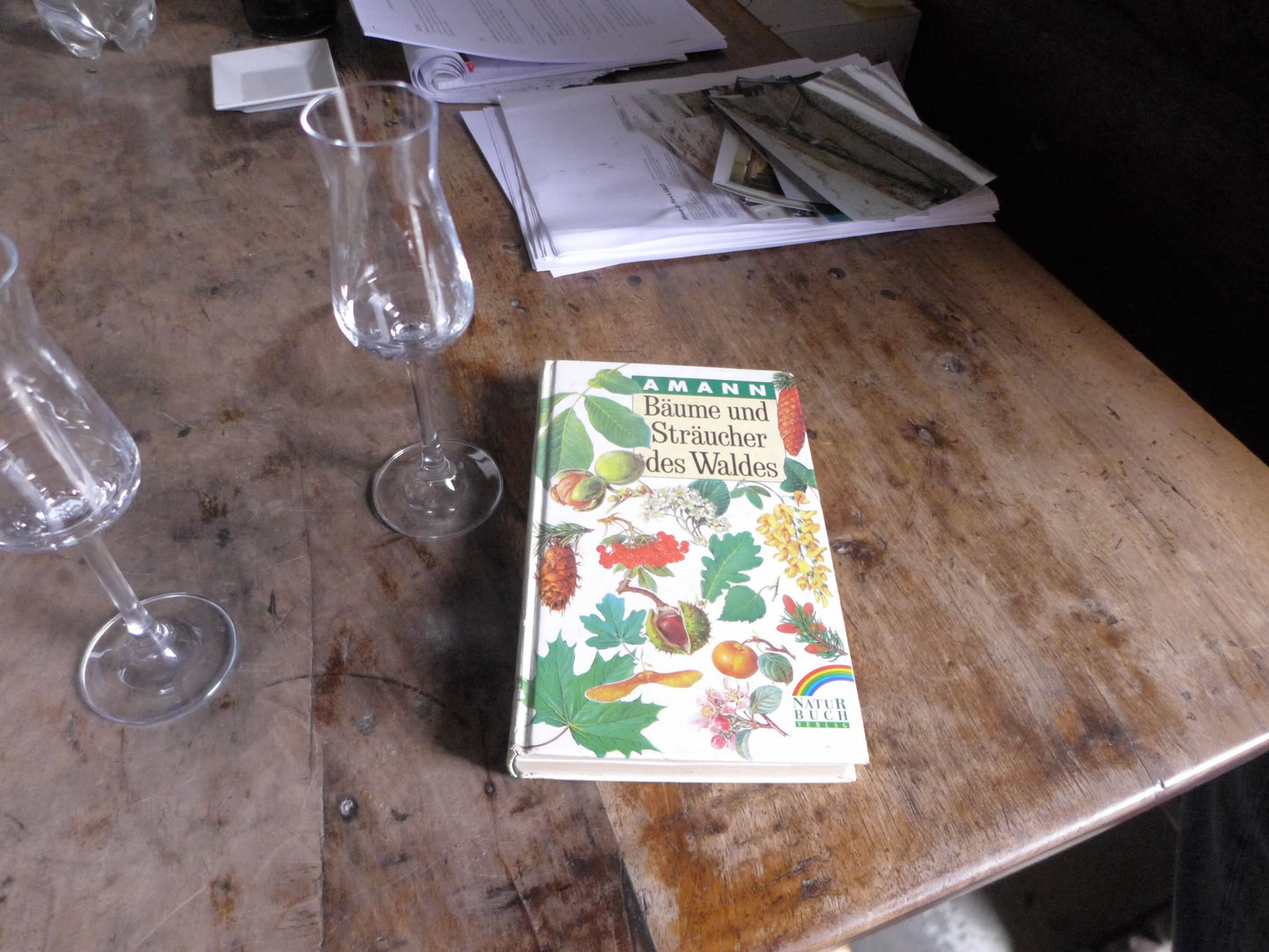 A Sharing Session about distilleries vol.01  Northern Italy